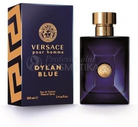 Versace Dylan Blue Pour Homme EDT - Pánská toaletní voda 100 ml Tester