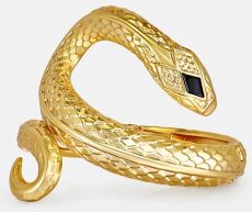 Roberto Cavalli Serpentine EDP - Dámská parfémovaná voda 100 ml