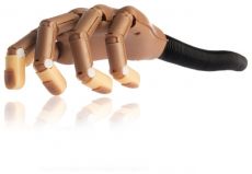 Cvičná ruka na manikúru 1ks