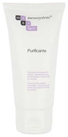 Mesosystem Purifying Cream - Čistící krém pro mastnou a aknózní pleť 50 ml