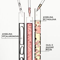 Kérastase Gloss Absolu Bain Hydra-glaze - Hydratační a rozjasňující šampon pro vlasy se sklonem ke krepatění 250 ml
