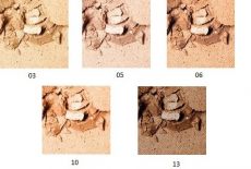 Pierre René Compact Powder Professional - Kompaktní pudr 05 Soft Beige 8g