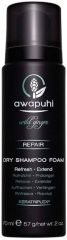 Paul Mitchell Awapuhi Wild Ginger Repair Dry Shampoo Foam - Suchý šampon na vlasy 70 ml Cestovní balení