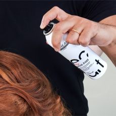 L´oréal Professionnel Tecni.Art Fix Anti-Frizz - Sprej proti krepatění vlasů 250 ml