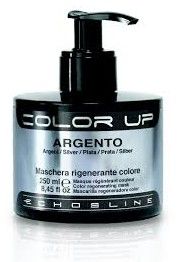 Echosline Colour Up Silver - Tónovací maska - Stříbrný 250 ml