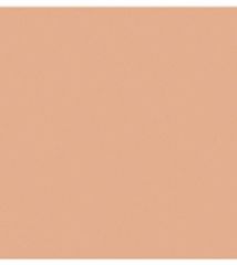 Nee No Transfer Fluid Foundation Vitamin E - Tekutý nestíratelný make-up s vitamínem E č. 21 40 ml