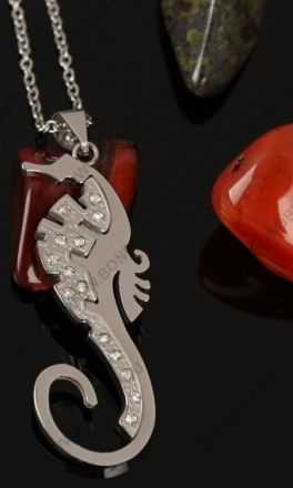 Náhrdelník Mořský koník z nerez oceli 16771_3_1