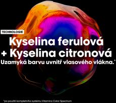 L´oréal Professionnel Serie Expert Vitamino Color Spectrum Mask - Hydratační maska na barvené vlasy 250 ml